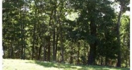 63 Cypress Point Ln Eureka Springs, AR 72631 - Image 11423951