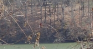 0 Bennett Way Florence, AL 35634 - Image 11436279