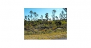 LOT 10 HICKORY RIDGE Leesville, LA 71446 - Image 11445089