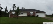 326 TWIN RIDGE CIR Lincoln, AL 35096 - Image 11454640