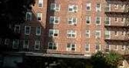 8450 169th St Apt 517 Jamaica, NY 11432 - Image 11461516