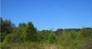 0 Beacon Street Moulton, AL 35650 - Image 11463427
