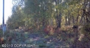 Par 2 E Tex-Al Drive Wasilla, AK 99654 - Image 11476809