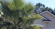 10995 Apple Blossom Trail E Jacksonville, FL 32218 - Image 11477204