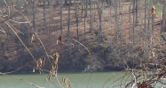 0 Bennett Way Lot 10 Florence, AL 35634 - Image 11482933