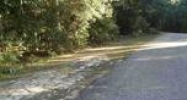 Lot 14 Reyes Strasse Ozark, AL 36360 - Image 11497887