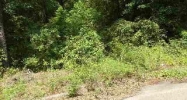 LOT 19 HORNSBY Ozark, AL 36360 - Image 11497888