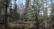 Gov Lot 1 Tazlina Drive Palmer, AK 99645 - Image 11512377