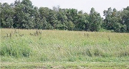 5900 Molly Pitcher Highway N Chambersburg, PA 17202 - Image 11566854