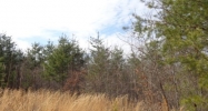 0 Henderson Point Rd. Tuscumbia, AL 35674 - Image 11576937