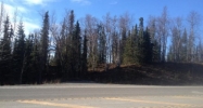 Mile 92.8 Sterling Highway Soldotna, AK 99669 - Image 11592633