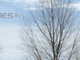 20509 County Road 88 Washington, DC 20509 - Image 11596098