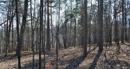330 Bluestern Drive Se Jasper, GA 30143 - Image 11596019