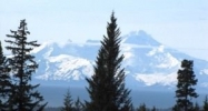 L14 Kay Homer, AK 99603 - Image 11600169