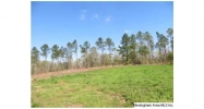 COLVIN RD 75 AC Lincoln, AL 35096 - Image 11618608