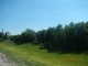 Lot 3 Ganey Ln Zolfo Springs, FL 33890 - Image 11636835