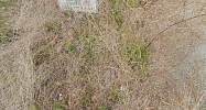 304 Plantation Point,tract 5a Ridgeway, SC 29130 - Image 11638086
