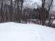 34112 Moose Trail Park Rapids, MN 56470 - Image 11642260