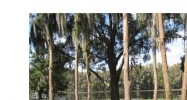 2107 CAMP INDIANHEAD RD Land O Lakes, FL 34639 - Image 11646192