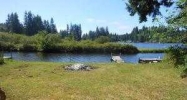 2400 W Star Lake Dr Elma, WA 98541 - Image 11659066