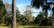100 Gerona Dr Jacksonville Beach, FL 32250 - Image 11665739