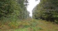 Lot 12 And 14 Clifton St Suffolk, VA 23435 - Image 11675338