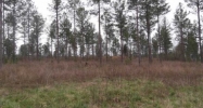 0 Landers Road Rydal, GA 30171 - Image 11693041