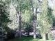 337 Lake Avenue Aspen, CO 81611 - Image 11696587