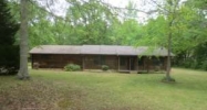 301 County Line Roa Griffin, GA 30224 - Image 11699043