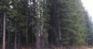 2818 Chief Alexander Drive Fairbanks, AK 99709 - Image 11701340