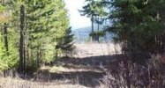 1 Westwood Moyie Springs, ID 83845 - Image 11717779