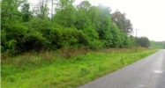 0 JACKSON TRACE RD 164ACRES Lincoln, AL 35096 - Image 11724842