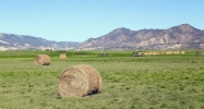 1533 County Road 233 Rifle, CO 81650 - Image 11734127