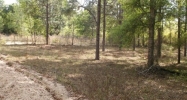 Hwy 90 134th Pl Wellborn, FL 32094 - Image 11759482