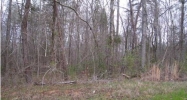 260 Lannes Dr. Killen, AL 35645 - Image 11776123