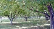 240 Larkspur Road Pasco, WA 99301 - Image 11777493