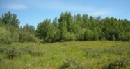 9650 RICKS ROAD Tetonia, ID 83452 - Image 11789765