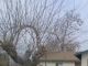 9916 Elmco Ave Lamont, CA 93241 - Image 11813828