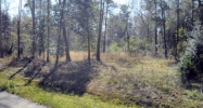 Lot 2 Halbert Drive Tickfaw, LA 70466 - Image 11814737