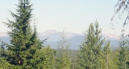 152 Dragon Dr Sandpoint, ID 83864 - Image 11818732