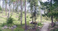 Lot #13 Forest Knolls Drive Sandpoint, ID 83864 - Image 11818733
