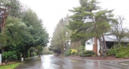 3884 Botticelli St Lake Oswego, OR 97035 - Image 11841758