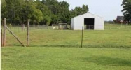 735 Betty Rose Ln Tuscumbia, AL 35674 - Image 11847533