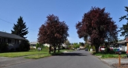 1037 Se 167th Ave Portland, OR 97233 - Image 11869024