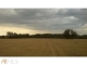 0 Eureka Rd A Newington, GA 30446 - Image 11926609