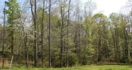 59 Mulberry Greens Lane Jefferson, GA 30549 - Image 11931156
