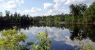 695 Pumping Station RD Purvis, MS 39475 - Image 11932365