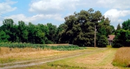 4465 BRYANTOWN RD Waldorf, MD 20601 - Image 11938574