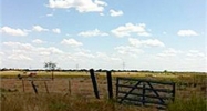 Co Road 4076 Scurry, TX 75158 - Image 11938700