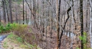 Cliffs Fs Towne Landing Lt 22 Salem, SC 29676 - Image 11946465